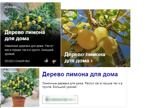 КЕЙС: льем с Яндекс.Директ на мини-деревья Экодар (627.833)