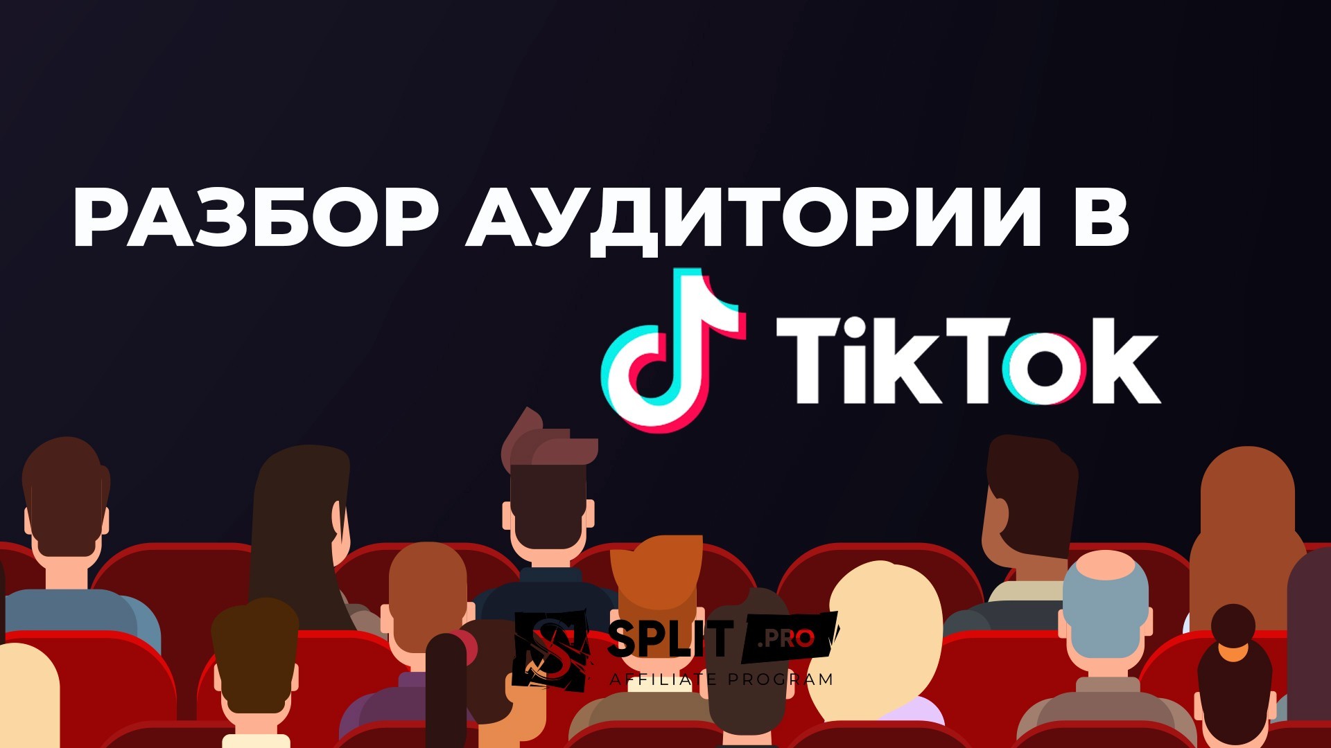 Разбор аудитории TikTok